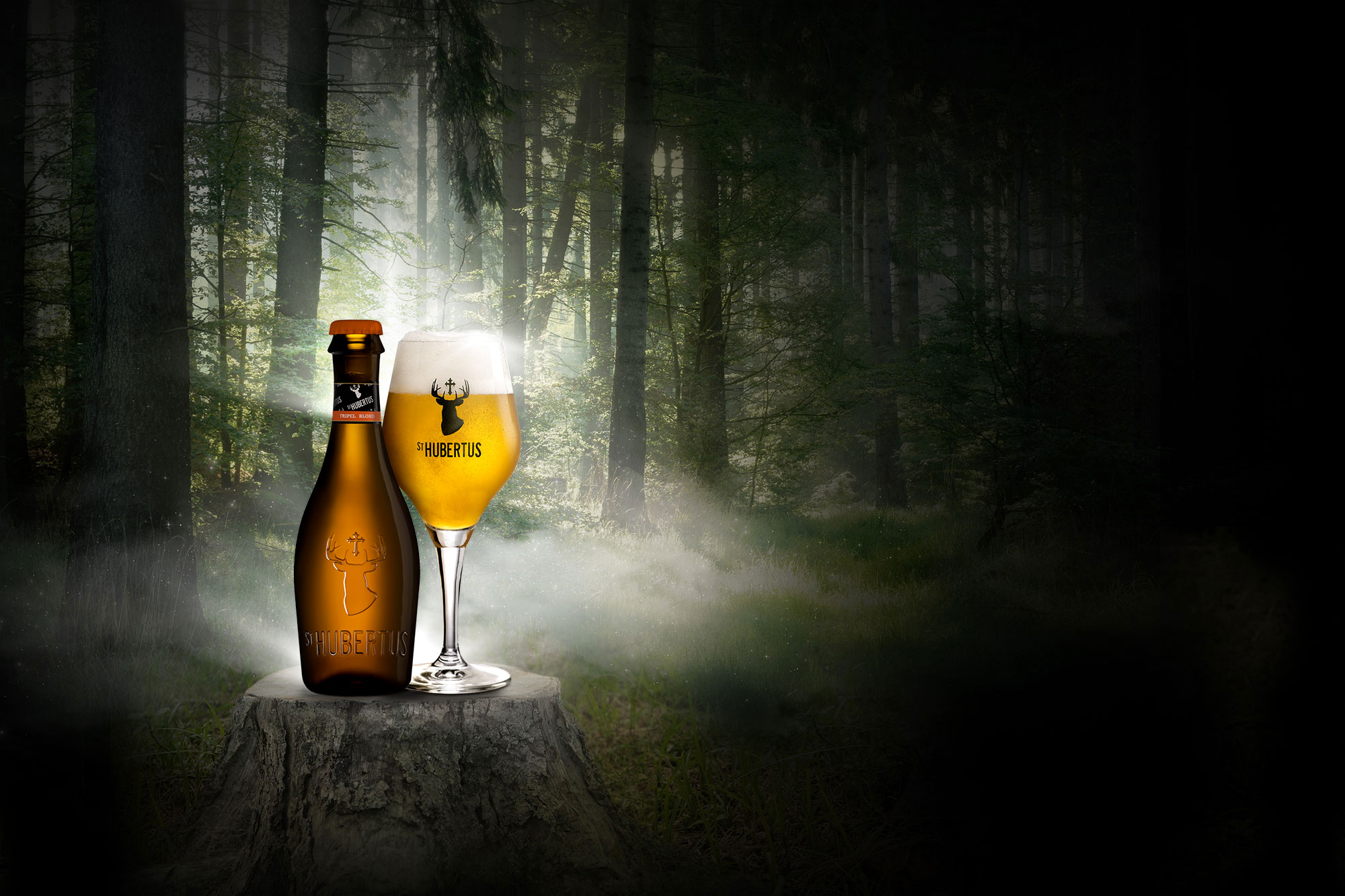 Sint Hubertus Ambachtelijk Abdijbier Biere Artisanale D Abbaye